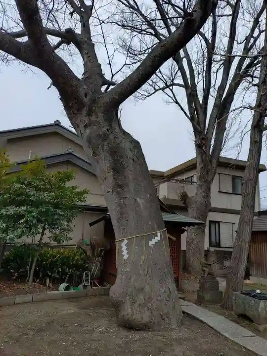 蘇我比咩神社(千葉県)