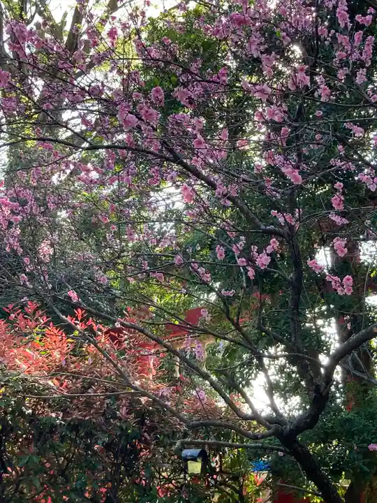前鳥神社(神奈川県)