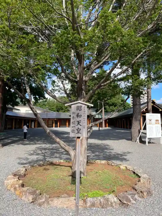 北海道神宮の自然