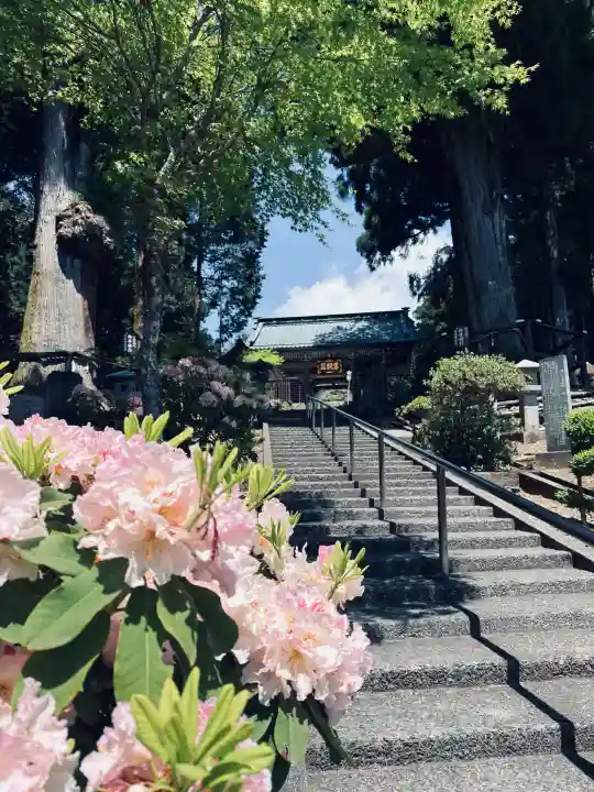 久遠寺の{uncategorized: "未分類", other: "その他", undefined: "問題あり", building: "その他建物", grave: "お墓", sacred_gate: "鳥居", guardian: "狛犬", statue: "像", buddha: "仏像", history: "歴史", nature: "自然", garden: "庭園", animal: "動物", pagoda: "塔", temizu: "手水舎", mountain_gate: "山門・神門", sanctuary: "本殿・本堂", subordinate: "末社・摂社", art: "芸術", scenery: "景色", jizo: "地蔵", ema: "絵馬", goshuin: "御朱印", omikuji: "おみくじ", items: "授与品その他", amulet: "お守り", goshuincho: "御朱印帳", eats: "食事", festival: "お祭り", votive_dance: "神楽", shichigosan: "七五三参", wedding: "結婚式", experience: "体験その他", initially: "初詣", around: "周辺", anti_infection: "感染症対策"}