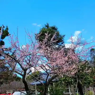 牟呂八幡宮(愛知県)