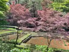 野津田薬師堂(福王寺)(東京都)