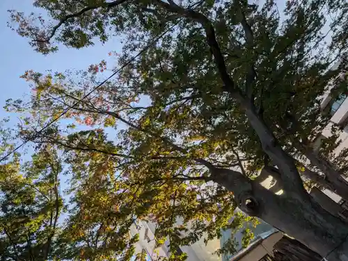 阿邪訶根神社(福島県)