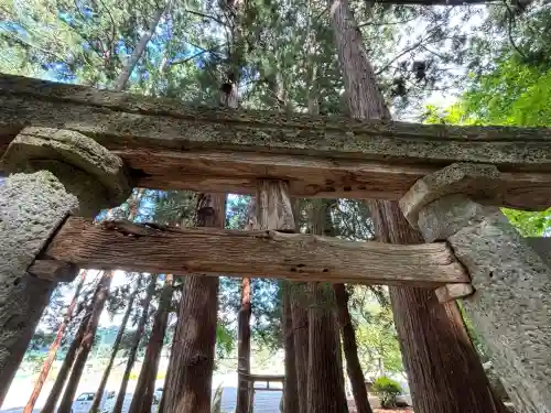 犬の宮猫の宮(山形県)