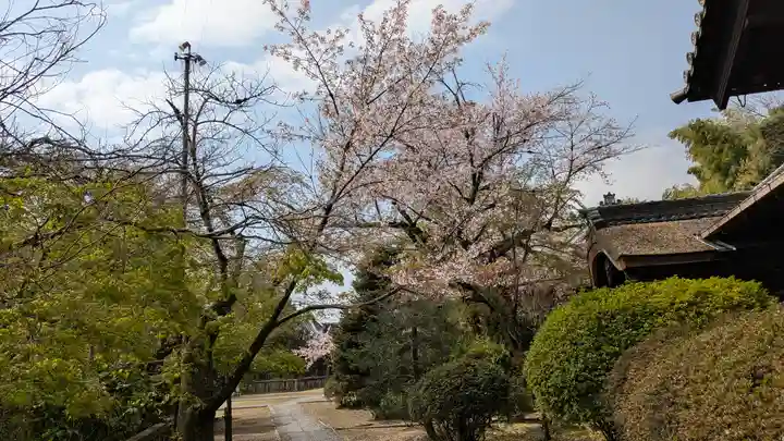 観音寺(山崎聖天)(京都府)