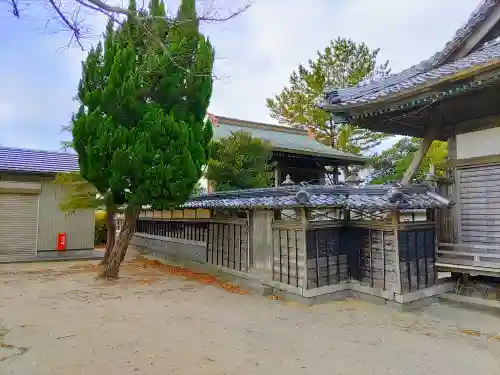 諏訪神社（今川町）の本殿・本堂