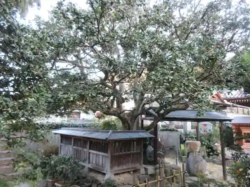 常福寺（椿堂）(愛媛県)