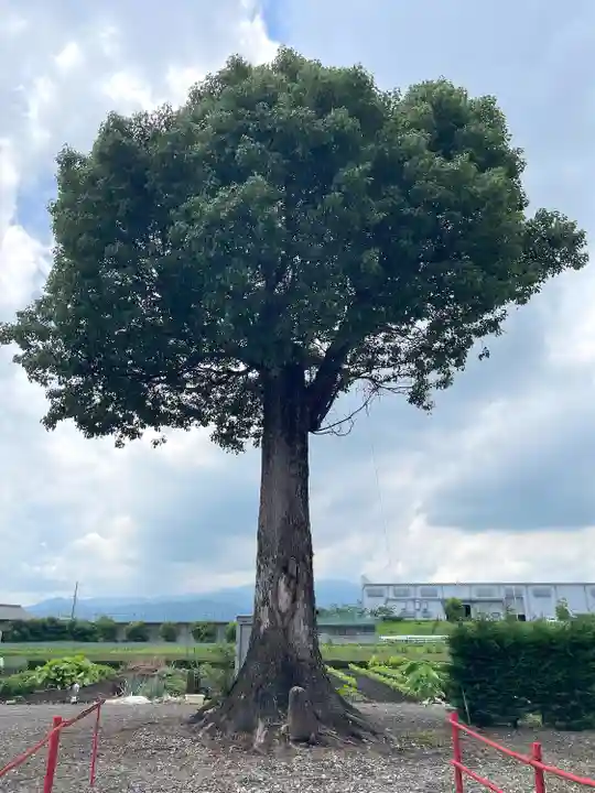 稲荷神社(三重県)