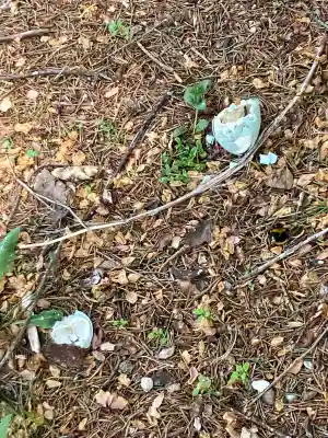 相内神社(北海道)
