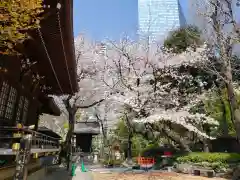 熊野神社の建物その他