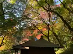 普門寺(切り絵御朱印発祥の寺)(愛知県)