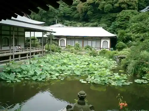 光明寺の庭園