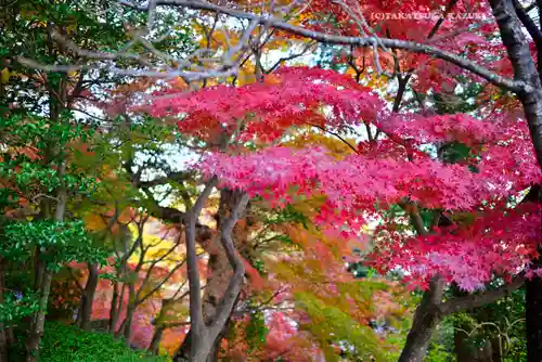 長谷寺(神奈川県)