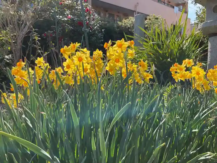 井際山 如意輪寺(愛知県)