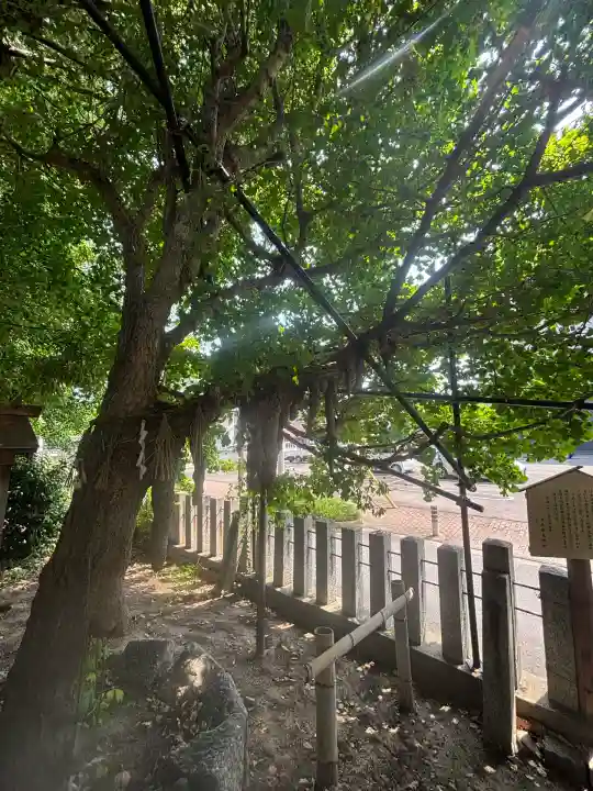 多奈波太神社の自然