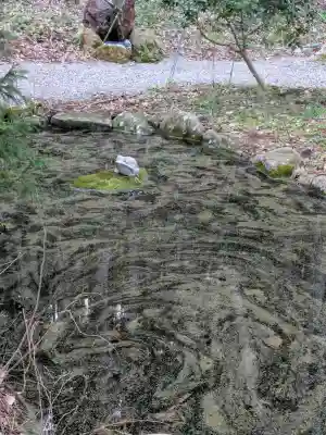 函館八幡宮の{uncategorized: "未分類", other: "その他", undefined: "問題あり", building: "その他建物", grave: "お墓", sacred_gate: "鳥居", guardian: "狛犬", statue: "像", buddha: "仏像", history: "歴史", nature: "自然", garden: "庭園", animal: "動物", pagoda: "塔", temizu: "手水舎", mountain_gate: "山門・神門", sanctuary: "本殿・本堂", subordinate: "末社・摂社", art: "芸術", scenery: "景色", jizo: "地蔵", ema: "絵馬", goshuin: "御朱印", omikuji: "おみくじ", items: "授与品その他", amulet: "お守り", goshuincho: "御朱印帳", eats: "食事", festival: "お祭り", votive_dance: "神楽", shichigosan: "七五三参", wedding: "結婚式", experience: "体験その他", initially: "初詣", around: "周辺", anti_infection: "感染症対策"}