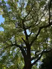 王子神社(東京都)