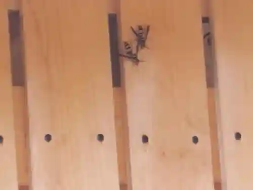 里神神社(和歌山県)