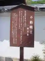 宗泰寺の歴史
