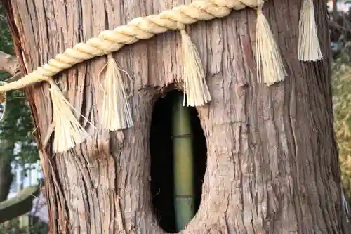 阿久津「田村神社」（郡山市阿久津町）旧社名：伊豆箱根三嶋三社の自然