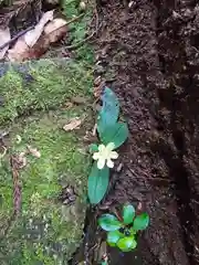 阿弥陀寺 奥之院浄土堂(和歌山県)