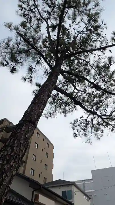 別小江神社(愛知県)