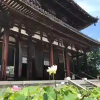 喜光寺(奈良県)