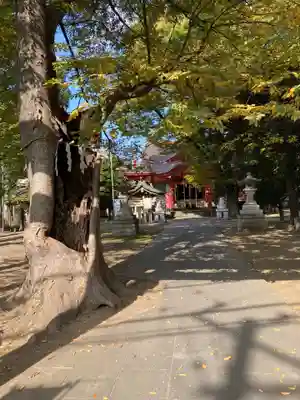 戸部杉山神社のその他建物