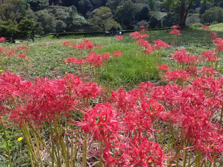 朝倉神社(福井県)