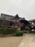 八坂神社(祇園さん)のその他建物