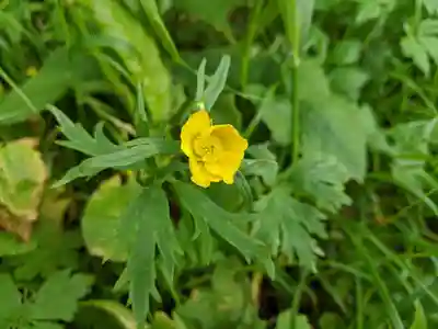 木曽駒ヶ嶽神社　奥社(長野県)
