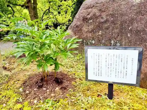 尾山神社の自然