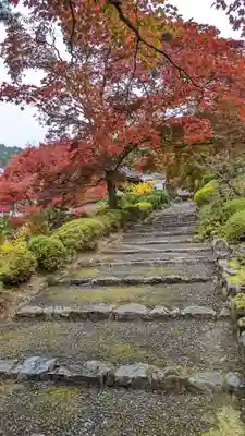 善峯寺(京都府)