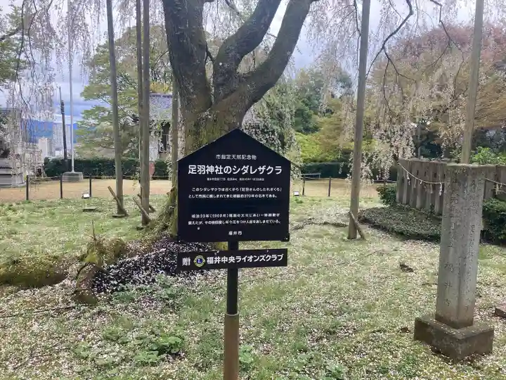 足羽神社(福井県)