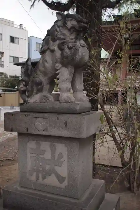今戸神社の狛犬