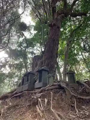 大藏神社(千葉県)