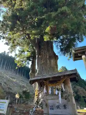 月瀬神社(長野県)