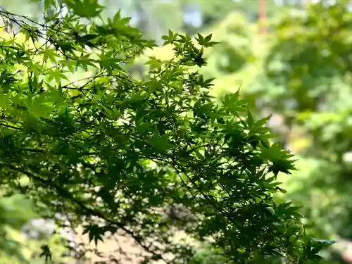 喜多院(埼玉県)