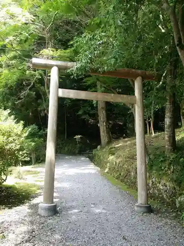 出雲大神宮の鳥居