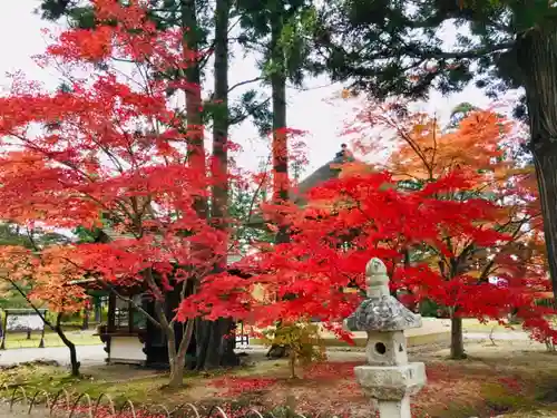 毛越寺の自然