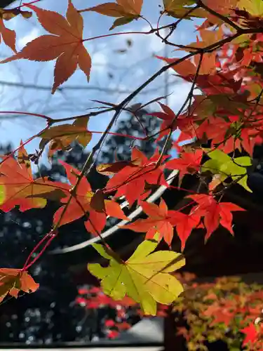冨士御室浅間神社の自然