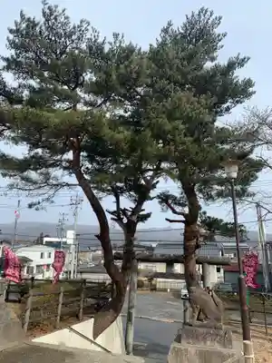 久慈大神宮の自然