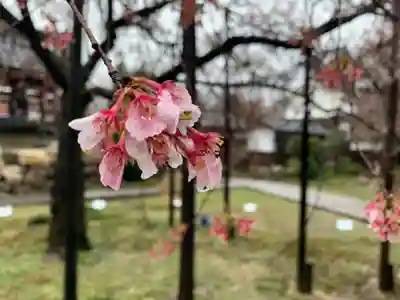 城福寺(福井県)