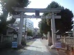 今戸神社の鳥居