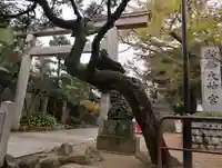 意富比神社の鳥居