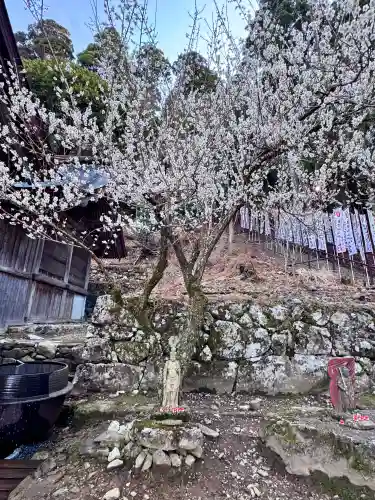 英彦山神宮の{uncategorized: "未分類", other: "その他", undefined: "問題あり", building: "その他建物", grave: "お墓", sacred_gate: "鳥居", guardian: "狛犬", statue: "像", buddha: "仏像", history: "歴史", nature: "自然", garden: "庭園", animal: "動物", pagoda: "塔", temizu: "手水舎", mountain_gate: "山門・神門", sanctuary: "本殿・本堂", subordinate: "末社・摂社", art: "芸術", scenery: "景色", jizo: "地蔵", ema: "絵馬", goshuin: "御朱印", omikuji: "おみくじ", items: "授与品その他", amulet: "お守り", goshuincho: "御朱印帳", eats: "食事", festival: "お祭り", votive_dance: "神楽", shichigosan: "七五三参", wedding: "結婚式", experience: "体験その他", initially: "初詣", around: "周辺", anti_infection: "感染症対策"}