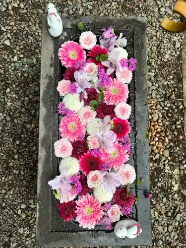 神道大教木曾御嶽川越大教会(埼玉県)