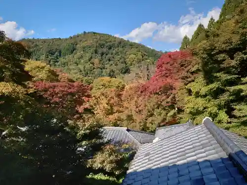 光明寺瑠璃光院(京都府)
