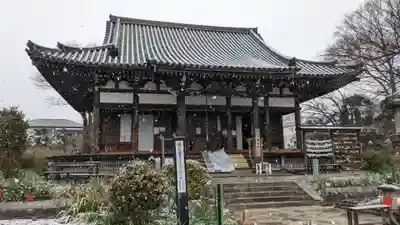 般若寺 ❁﻿コスモス寺❁(奈良県)
