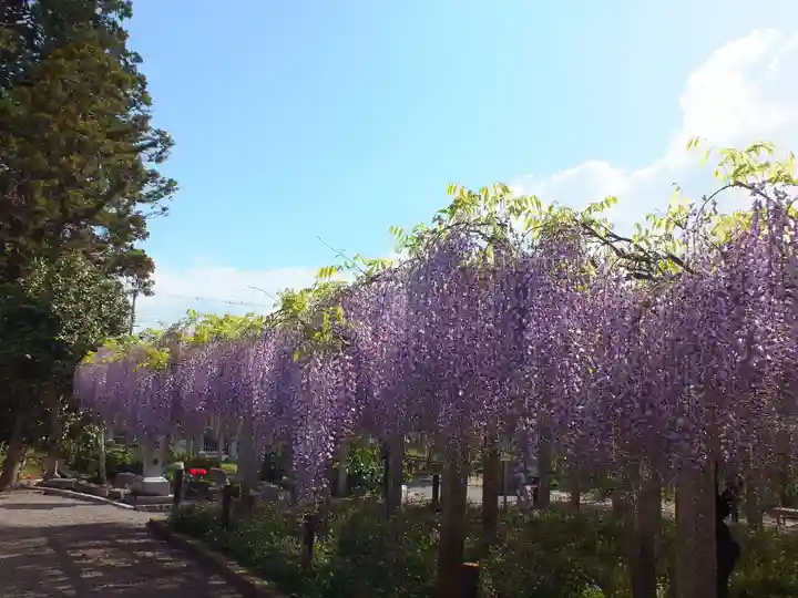 三大神社の自然